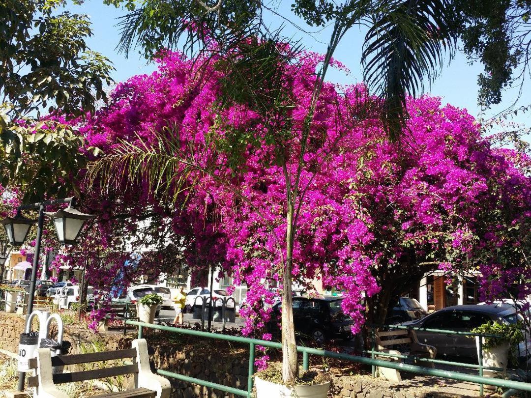 Pousada Suites Águas de São Pedro מראה חיצוני תמונה